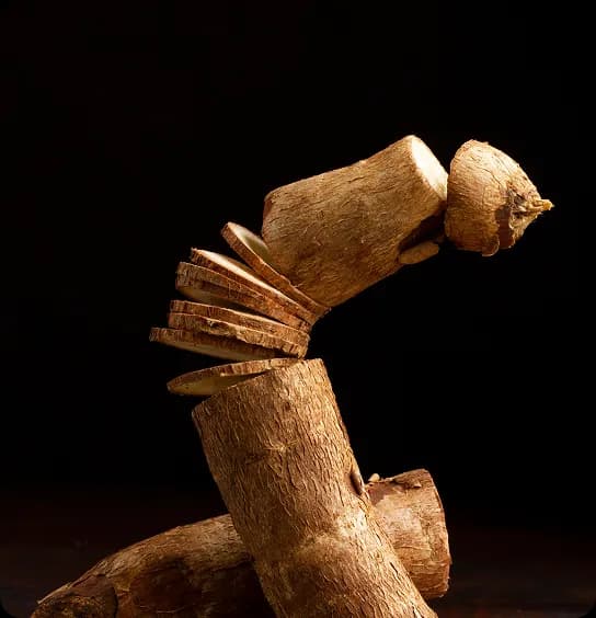Korean Ginseng root